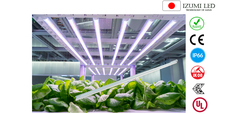 tubo led para plantas